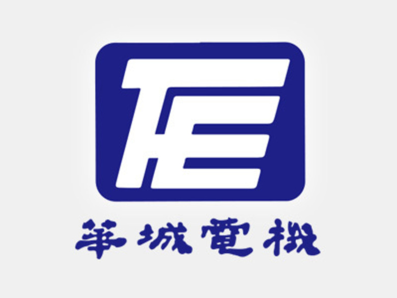 Fortune Electric Co., Ltd